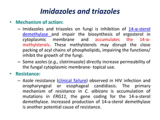 Antifungal drugs-Synthetic agents Slide 3
