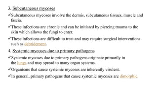 3. Subcutaneous mycoses
Subcutaneous mycoses involve the dermis, subcutaneous tissues, muscle and
fascia.
These infections are chronic and can be initiated by piercing trauma to the
skin which allows the fungi to enter.
These infections are difficult to treat and may require surgical interventions
such as debridement.
4. Systemic mycoses due to primary pathogens
Systemic mycoses due to primary pathogens originate primarily in
the lungs and may spread to many organ systems.
Organisms that cause systemic mycoses are inherently virulent.
In general, primary pathogens that cause systemic mycoses are dimorphic.
 