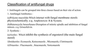 Classification of antifungal drugs
• Antifungals can be grouped into three classes based on their site of action.
1- Antifungal Antibiotics :
(a)Polyene macrolide-Which interact with fungal membrane sterols
physicochemically. e.q. Amphotericin- B & Nystatin.
(b)Heterocyclic benzofurans-Disruption of mitotic spindle and inhibition of fungal
mitosis. e.q. Griseofulvin.
2- Synthetic :
(a)Azoles : Which inhibit the synthesis of ergosterol (the main fungal
sterol)
i)Imidazoles :Econazole, Ketoconazole , Miconazole, Clotrimazole
ii)Triazoles : Fluconazole , Itraconazole, Voriconazole
 