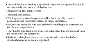  A small fraction of the drug is excreted in the urine; dosage modification is
necessary only in extreme renal dysfunction.
Amphotericin B is not dialyzable.
2. Mechanism of action:-
The fungicidal action of amphotericin B is due to its effects on the
permeability and transport properties of fungal membranes.
Polyenes are molecules with both hydrophilic and lipophilic characteristics
(i.e. they are amphipathic).
They bind to ergosterol, a sterol specific to fungal cell membranes, and cause
the formation of artificial pores .
Resistance, though uncommon, can occur via a decreased level of or a
structural change in membrane ergosterol.
 
