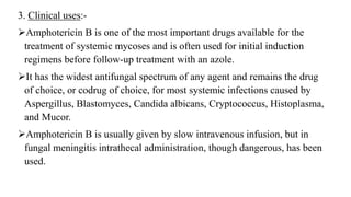 3. Clinical uses:-
Amphotericin B is one of the most important drugs available for the
treatment of systemic mycoses and is often used for initial induction
regimens before follow-up treatment with an azole.
It has the widest antifungal spectrum of any agent and remains the drug
of choice, or codrug of choice, for most systemic infections caused by
Aspergillus, Blastomyces, Candida albicans, Cryptococcus, Histoplasma,
and Mucor.
Amphotericin B is usually given by slow intravenous infusion, but in
fungal meningitis intrathecal administration, though dangerous, has been
used.
 