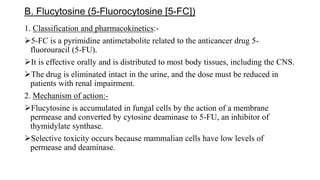 B. Flucytosine (5-Fluorocytosine [5-FC])
1. Classification and pharmacokinetics:-
5-FC is a pyrimidine antimetabolite related to the anticancer drug 5-
fluorouracil (5-FU).
It is effective orally and is distributed to most body tissues, including the CNS.
The drug is eliminated intact in the urine, and the dose must be reduced in
patients with renal impairment.
2. Mechanism of action:-
Flucytosine is accumulated in fungal cells by the action of a membrane
permease and converted by cytosine deaminase to 5-FU, an inhibitor of
thymidylate synthase.
Selective toxicity occurs because mammalian cells have low levels of
permease and deaminase.
 
