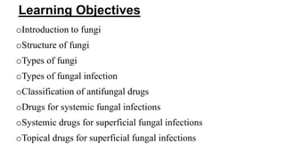 Learning Objectives
oIntroduction to fungi
oStructure of fungi
oTypes of fungi
oTypes of fungal infection
oClassification of antifungal drugs
oDrugs for systemic fungal infections
oSystemic drugs for superficial fungal infections
oTopical drugs for superficial fungal infections
 