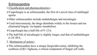 Echinocandins
1.Classification and pharmacokinetics:-
Caspofungin is an echinocandin, the first of a novel class of antifungal
agents.
Other echinocandins include anidulafungin and micafungin.
Used intravenously, the drugs distribute widely to the tissues and are
eliminated largely via hepatic metabolism.
Caspofungin has a half-life of 9–12 h.
The half-life of micafungin is slightly longer, and that of anidulafungin
is 24–48 h.
2. Mechanism of action:-
The echinocandins have a unique fungicidal action, inhibiting the
synthesis of β(1-3)glucan, a critical component of fungal cell walls.
 
