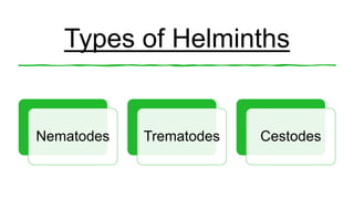 Types of Helminths
Nematodes Trematodes Cestodes
 