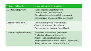 Types of helminths Micro-organism Responsible
1.Cestodes(Tapeworm) Taenia saginata (beef tapeworm)
Taenia solium (pork tapeworm)
Diphyllobothrium latum (fish tapeworm)
Echinococcus granulosus (dog tapeworm)
2.Trematodes(Flukes) Schistosoma species (blood flukes)
Clonorchis sinensis (liver fluke)
Paragonimus westermani (lung fluke)
3.Nematodes(Roundworm) Enterobius vermicularis (pinworm)
Trichuris trichiura (whipworm)
Ascaris lumbricoides (roundworm)
Ancyclostoma and Necator species (hookworms)
Strongyloides stercoralis (threadworm).
 
