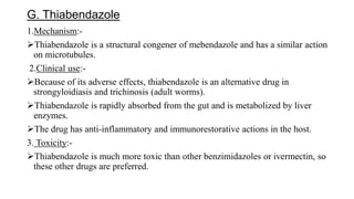 G. Thiabendazole
1.Mechanism:-
Thiabendazole is a structural congener of mebendazole and has a similar action
on microtubules.
2.Clinical use:-
Because of its adverse effects, thiabendazole is an alternative drug in
strongyloidiasis and trichinosis (adult worms).
Thiabendazole is rapidly absorbed from the gut and is metabolized by liver
enzymes.
The drug has anti-inflammatory and immunorestorative actions in the host.
3. Toxicity:-
Thiabendazole is much more toxic than other benzimidazoles or ivermectin, so
these other drugs are preferred.
 