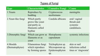 Types of fungi
Type Characteristics Causative Fungi Cause
1.Yeasts Reproduce by
budding
Cryptococcus
neoformans
meningitis
2.Yeast-like fungi Which partly
grows like yeast
and partly as
filaments called
hyphae
Candida albicans oral/ vaginal
thrush and
systemic
candidiasis.
3.Dimorphic fungi Which can grow as
filaments or as
yeast
Histoplasma
capsulatum
systemic infections
4.Moulds
(Dermatophytes)
Filamentous fungi
which reproduce
by forming spores
Trichophyton sp.
Microsporum sp.
Epidermophyton
sp.
skin or nail
infections called
tines or `ringworm'
 