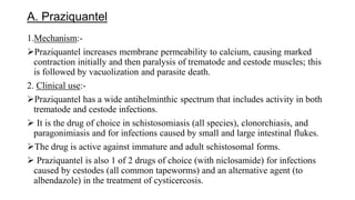 A. Praziquantel
1.Mechanism:-
Praziquantel increases membrane permeability to calcium, causing marked
contraction initially and then paralysis of trematode and cestode muscles; this
is followed by vacuolization and parasite death.
2. Clinical use:-
Praziquantel has a wide antihelminthic spectrum that includes activity in both
trematode and cestode infections.
 It is the drug of choice in schistosomiasis (all species), clonorchiasis, and
paragonimiasis and for infections caused by small and large intestinal flukes.
The drug is active against immature and adult schistosomal forms.
 Praziquantel is also 1 of 2 drugs of choice (with niclosamide) for infections
caused by cestodes (all common tapeworms) and an alternative agent (to
albendazole) in the treatment of cysticercosis.
 