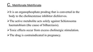 C. Metrifonate Metrifonate
It is an organophosphate prodrug that is converted in the
body to the cholinesterase inhibitor dichlorvos.
The active metabolite acts solely against Schistosoma
haematobium (the cause of bilharziasis).
Toxic effects occur from excess cholinergic stimulation.
The drug is contraindicated in pregnancy.
 