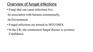 Overview of fungal infections
• Fungi that can cause infections live
-In association with humans commensally,
-In Environment
• Fungal infections are termed as MYCOSES.
• In the UK, the commonest fungal disease is systemic
Candidiasis.
 