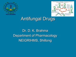 Dr. D. K. BrahmaDr. D. K. Brahma
Department of PharmacologyDepartment of Pharmacology
NEIGRIHMS, ShillongNEIGRIHMS, Shillong
Antifungal DrugsAntifungal Drugs
 