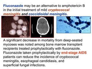 Fluconazole may be an alternative to amphotericin B
in the initial treatment of mild cryptococcal
meningitis and coccidioidal meningitis.
A signiﬁcant decrease in mortality from deep-seated
mycoses was noted among bone marrow transplant
recipients treated prophylactically with ﬂuconazole.
Fluconazole taken prophylactically by end-stage AIDS
patients can reduce the incidence of cryptococcal
meningitis, esophageal candidiasis, and
superﬁcial fungal infections.
 