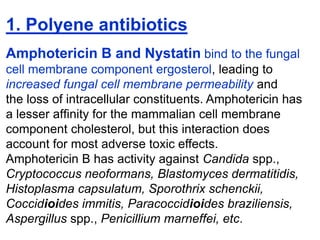 1. Polyene antibiotics
Amphotericin B and Nystatin bind to the fungal
cell membrane component ergosterol, leading to
increased fungal cell membrane permeability and
the loss of intracellular constituents. Amphotericin has
a lesser afﬁnity for the mammalian cell membrane
component cholesterol, but this interaction does
account for most adverse toxic effects.
Amphotericin B has activity against Candida spp.,
Cryptococcus neoformans, Blastomyces dermatitidis,
Histoplasma capsulatum, Sporothrix schenckii,
Coccidioides immitis, Paracoccidioides braziliensis,
Aspergillus spp., Penicillium marneffei, etc.
 