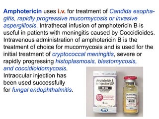 Amphotericin uses i.v. for treatment of Candida esopha-
gitis, rapidly progressive mucormycosis or invasive
aspergillosis. Intrathecal infusion of amphotericin B is
useful in patients with meningitis caused by Coccidioides.
Intravenous administration of amphotericin B is the
treatment of choice for mucormycosis and is used for the
initial treatment of cryptococcal meningitis, severe or
rapidly progressing histoplasmosis, blastomycosis,
and coccidioidomycosis.
Intraocular injection has
been used successfully
for fungal endophthalmitis.
 