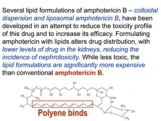 Several lipid formulations of amphotericin B – colloidal
dispersion and liposomal amphotericin B, have been
developed in an attempt to reduce the toxicity proﬁle
of this drug and to increase its efﬁcacy. Formulating
amphotericin with lipids alters drug distribution, with
lower levels of drug in the kidneys, reducing the
incidence of nephrotoxicity. While less toxic, the
lipid formulations are signiﬁcantly more expensive
than conventional amphotericin B.
Polyene binds
 