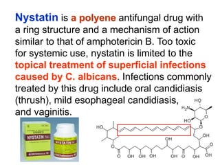 Nystatin is a polyene antifungal drug with
a ring structure and a mechanism of action
similar to that of amphotericin B. Too toxic
for systemic use, nystatin is limited to the
topical treatment of superﬁcial infections
caused by C. albicans. Infections commonly
treated by this drug include oral candidiasis
(thrush), mild esophageal candidiasis,
and vaginitis.
 