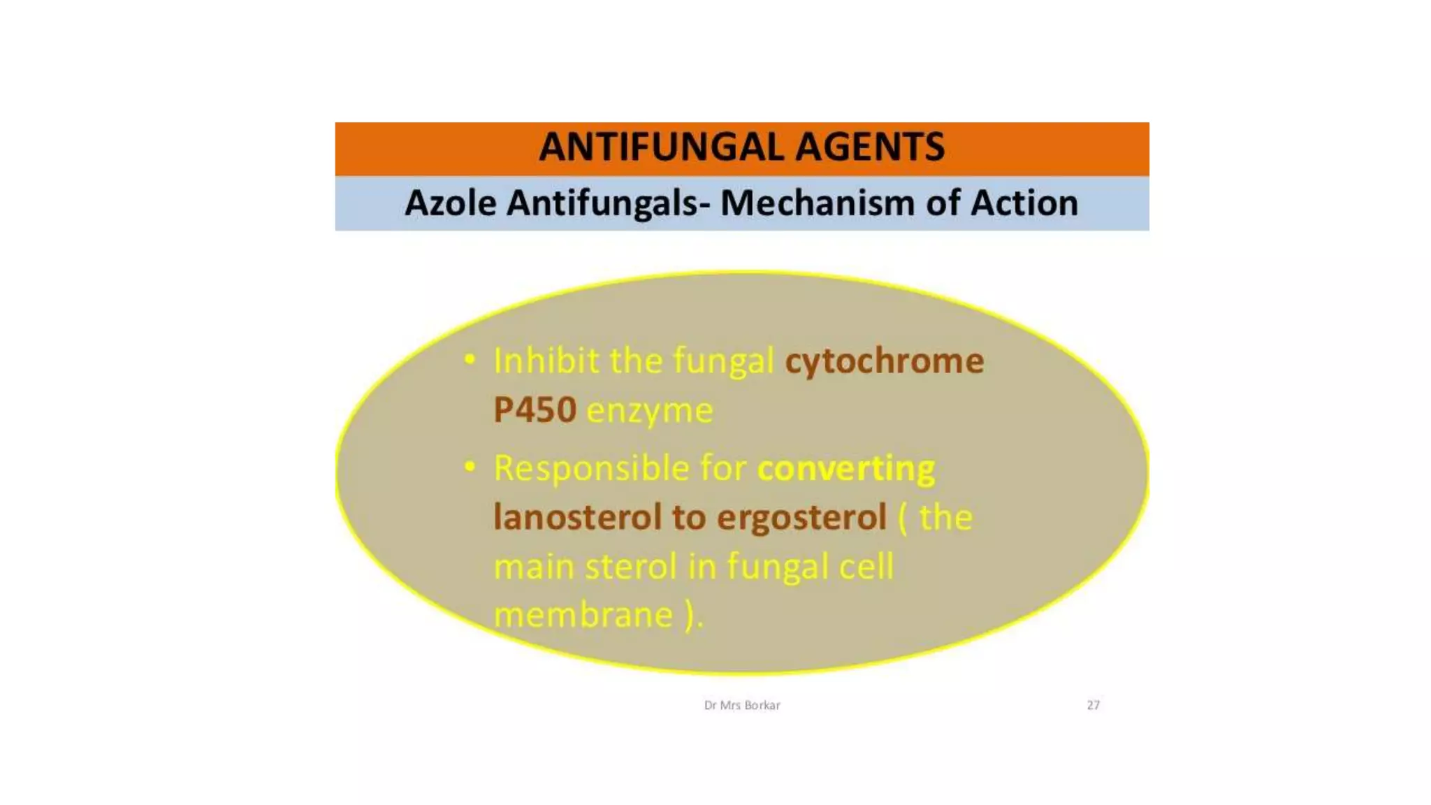Antifungal drugs ppt.pptx
