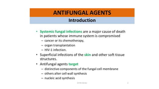 Antifungal drugs ppt.pptx