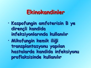 Ekinokandinler
• Kaspofungin amfoterisin B ye
  dirençli kandida
  infeksiyonlarında kullanılır
• Mikofungin kemik iliği
  transplantasyonu yapılan
  hastalarda kandida infeksiyonu
  proflaksisinde kullanılır
 
