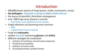 Antifungals | PPT