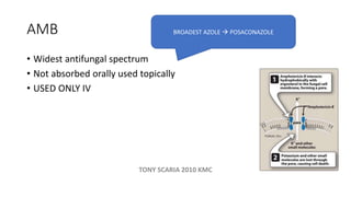 Anti fungals PHARMACOLOGY REVISION NOTES | PDF