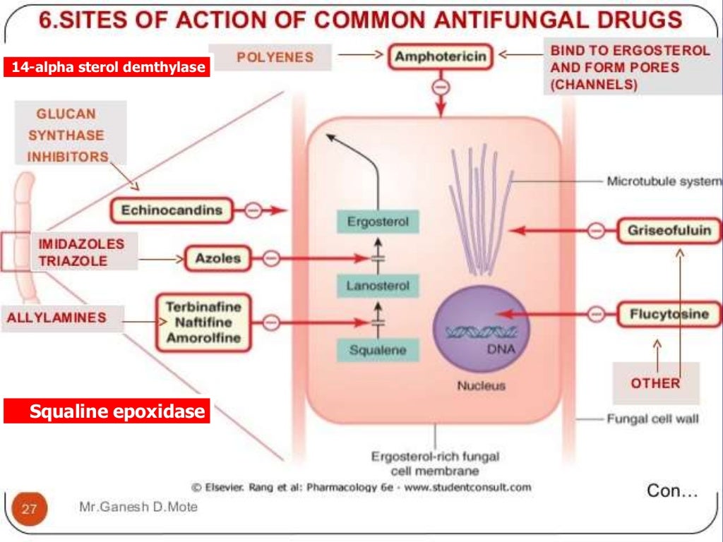 Antifungal treatment