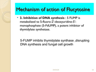 Comprehensive Pharmacology of Antifungal Agents and Mycoses | PPT