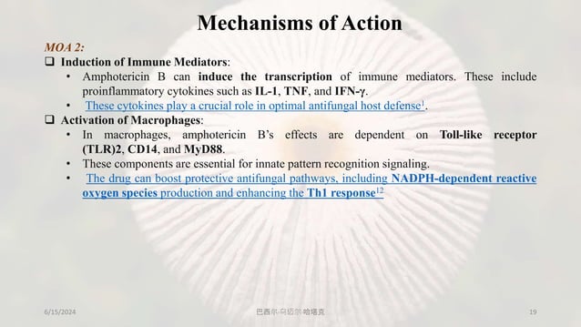 Antifungals: 5 types of classification, individual drug PK, PD and uses ...
