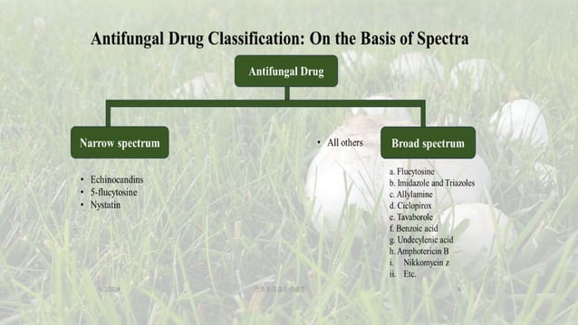 Antifungals: 5 types of classification, individual drug PK, PD and uses ...
