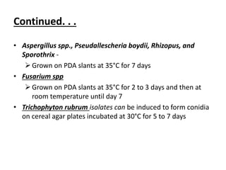 Continued. . .
• Aspergillus spp., Pseudallescheria boydii, Rhizopus, and
Sporothrix -
Grown on PDA slants at 35°C for 7 days
• Fusarium spp
Grown on PDA slants at 35°C for 2 to 3 days and then at
room temperature until day 7
• Trichophyton rubrum isolates can be induced to form conidia
on cereal agar plates incubated at 30°C for 5 to 7 days
 
