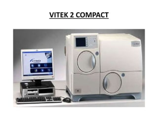 VITEK 2 COMPACT
 