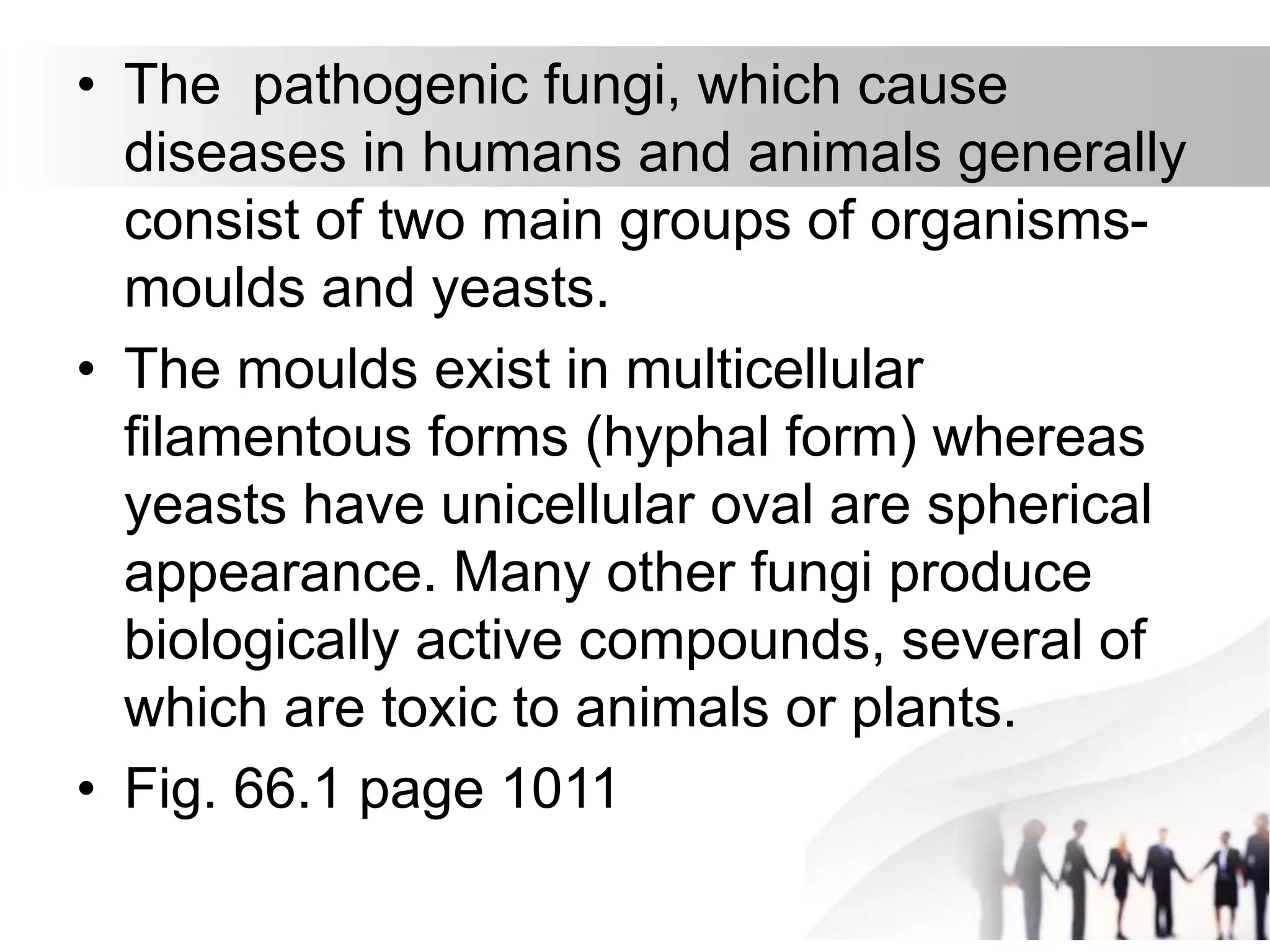 • The pathogenic fungi, which cause
diseases in humans and animals generally
consist of two main groups of organisms-
moulds and yeasts.
• The moulds exist in multicellular
filamentous forms (hyphal form) whereas
yeasts have unicellular oval are spherical
appearance. Many other fungi produce
biologically active compounds, several of
which are toxic to animals or plants.
• Fig. 66.1 page 1011
 