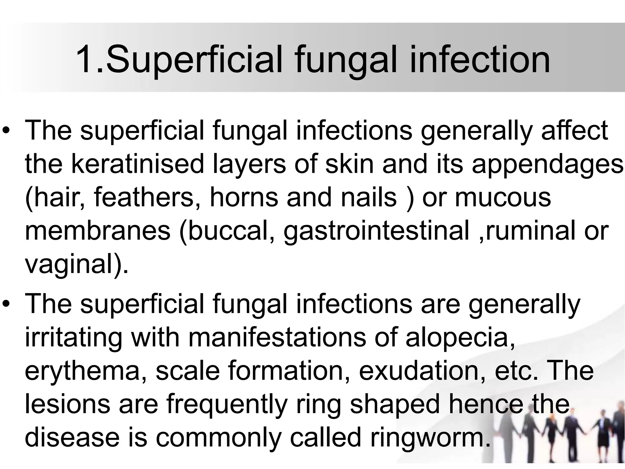 1.Superficial fungal infection
• The superficial fungal infections generally affect
the keratinised layers of skin and its appendages
(hair, feathers, horns and nails ) or mucous
membranes (buccal, gastrointestinal ,ruminal or
vaginal).
• The superficial fungal infections are generally
irritating with manifestations of alopecia,
erythema, scale formation, exudation, etc. The
lesions are frequently ring shaped hence the
disease is commonly called ringworm.
 