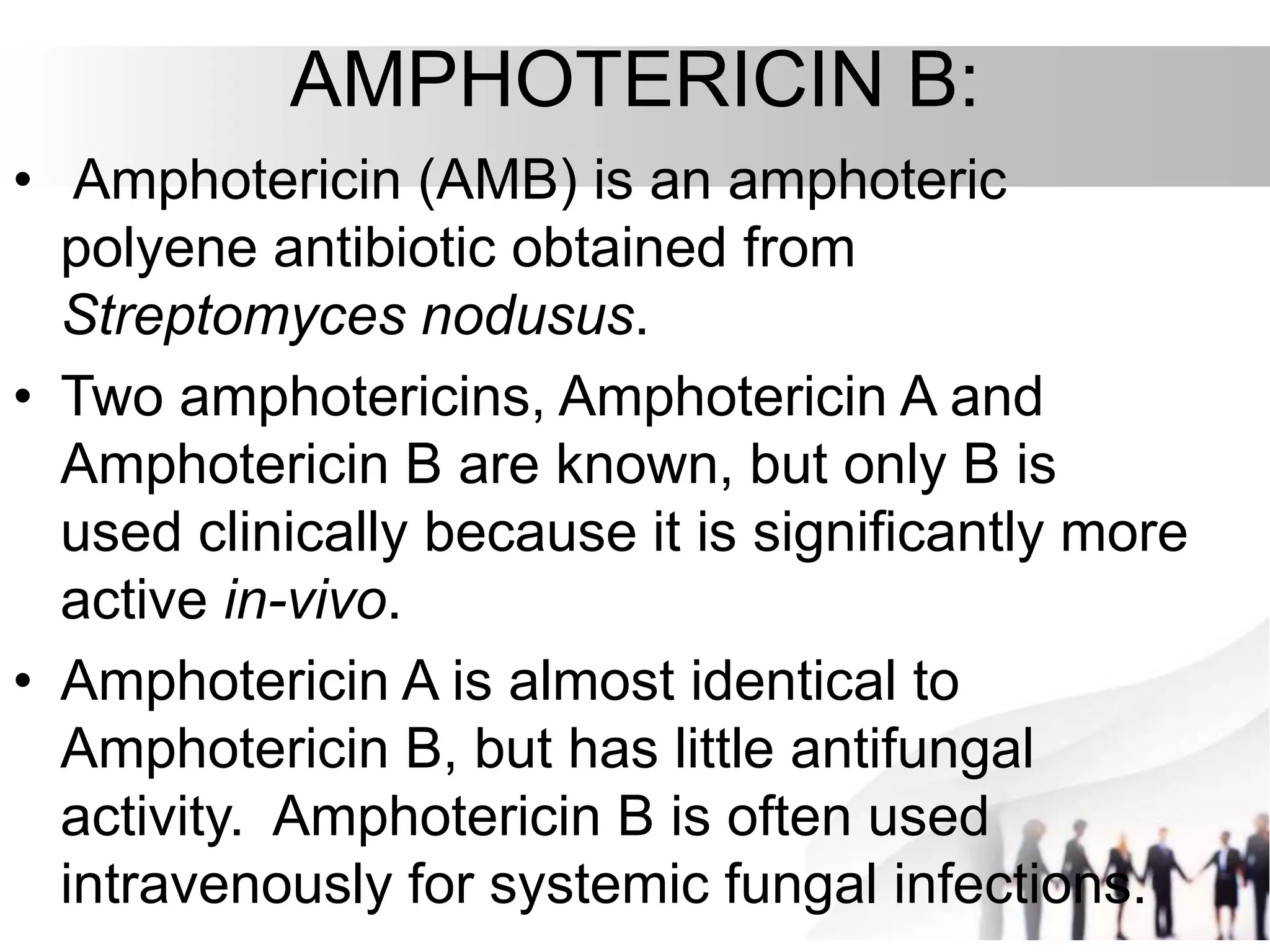 AMPHOTERICIN B:
• Amphotericin (AMB) is an amphoteric
polyene antibiotic obtained from
Streptomyces nodusus.
• Two amphotericins, Amphotericin A and
Amphotericin B are known, but only B is
used clinically because it is significantly more
active in-vivo.
• Amphotericin A is almost identical to
Amphotericin B, but has little antifungal
activity. Amphotericin B is often used
intravenously for systemic fungal infections.
 