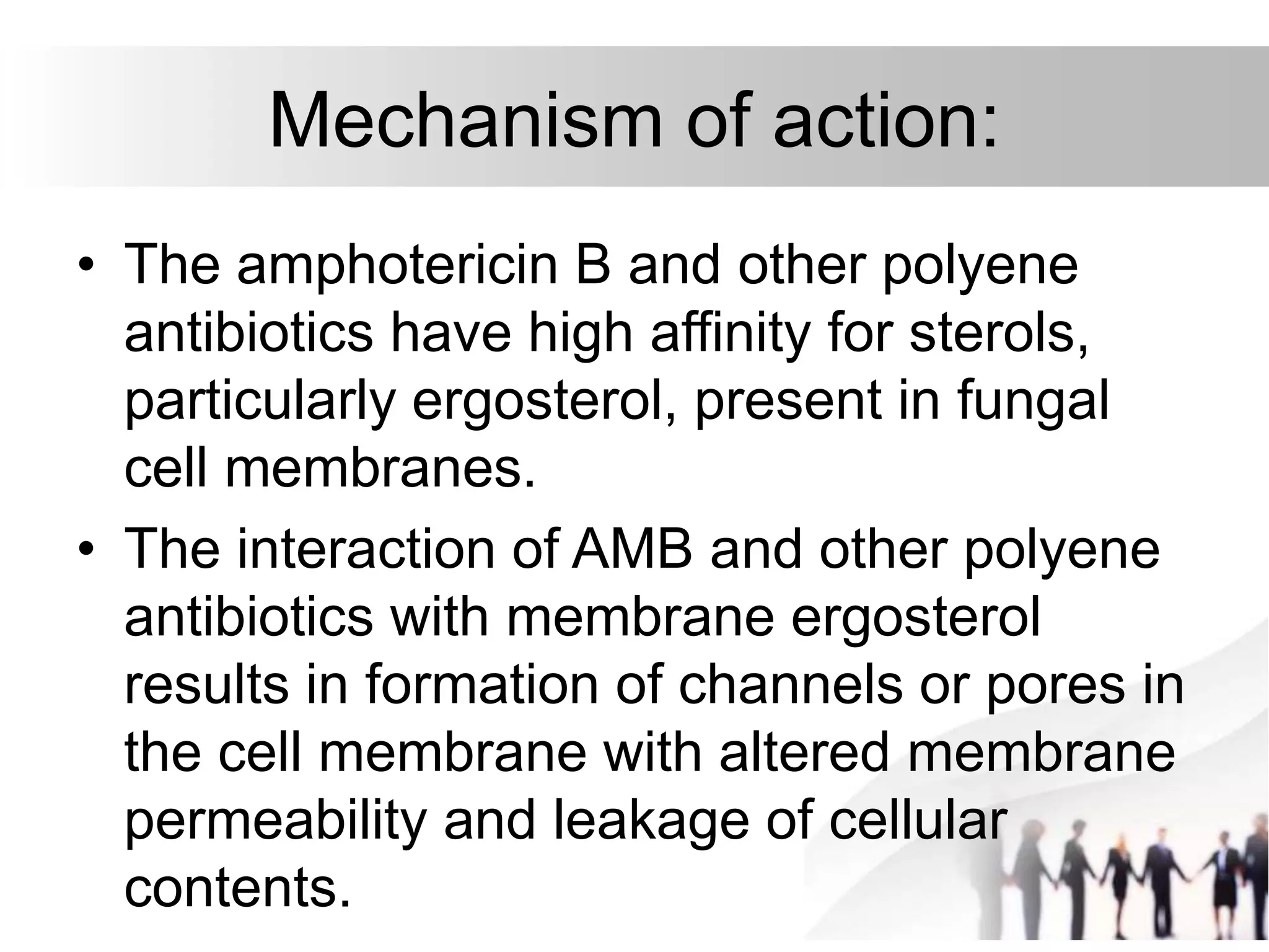 Mechanism of action:
• The amphotericin B and other polyene
antibiotics have high affinity for sterols,
particularly ergosterol, present in fungal
cell membranes.
• The interaction of AMB and other polyene
antibiotics with membrane ergosterol
results in formation of channels or pores in
the cell membrane with altered membrane
permeability and leakage of cellular
contents.
 