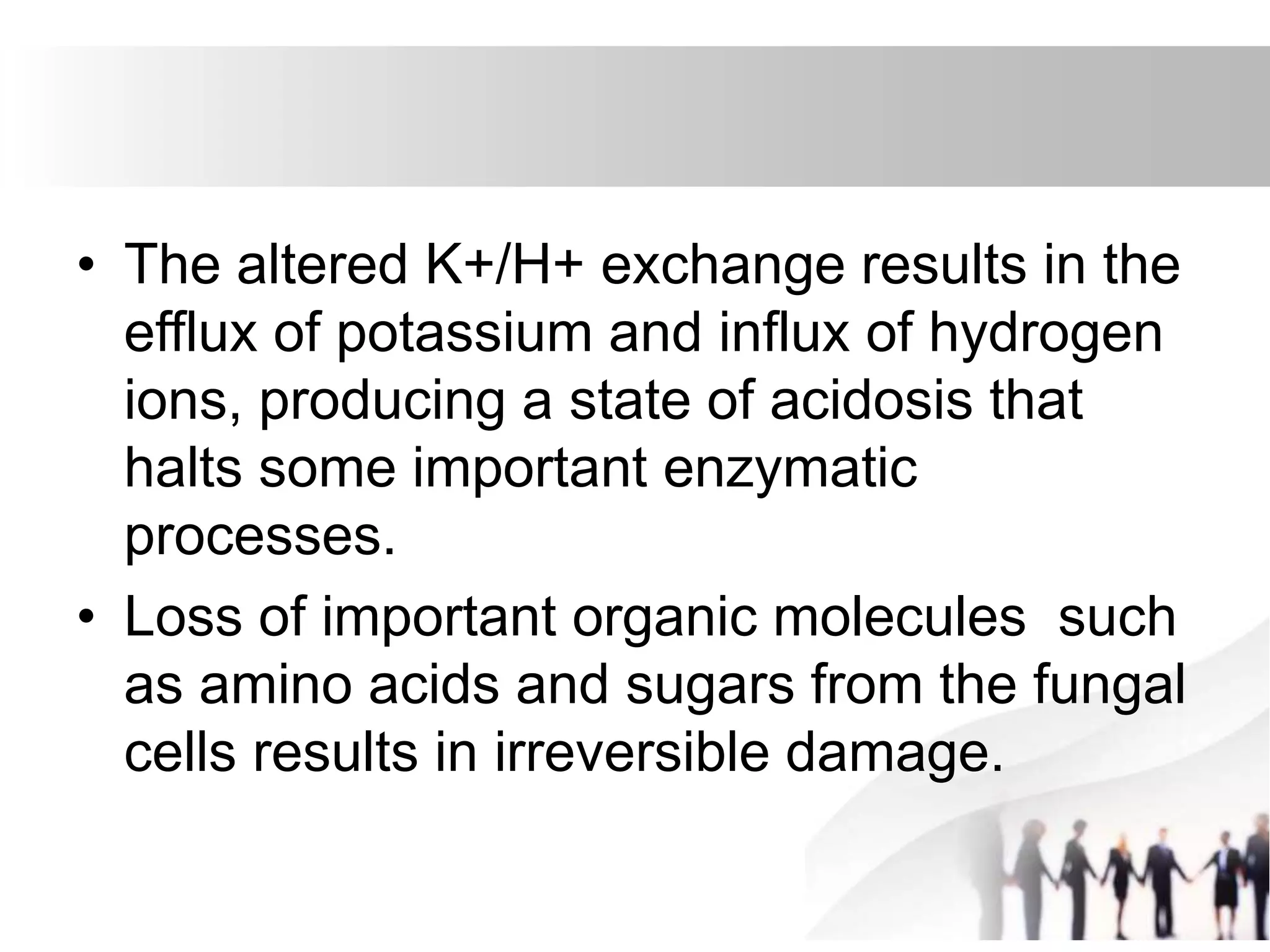 • The altered K+/H+ exchange results in the
efflux of potassium and influx of hydrogen
ions, producing a state of acidosis that
halts some important enzymatic
processes.
• Loss of important organic molecules such
as amino acids and sugars from the fungal
cells results in irreversible damage.
 