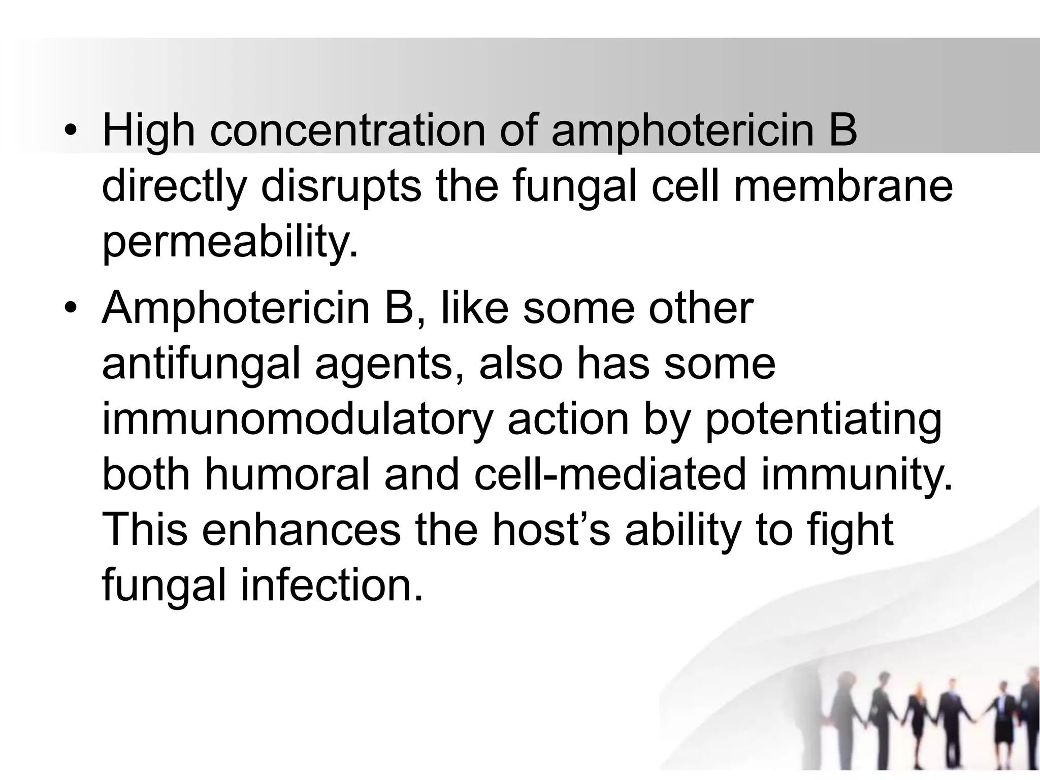 • High concentration of amphotericin B
directly disrupts the fungal cell membrane
permeability.
• Amphotericin B, like some other
antifungal agents, also has some
immunomodulatory action by potentiating
both humoral and cell-mediated immunity.
This enhances the host’s ability to fight
fungal infection.
 