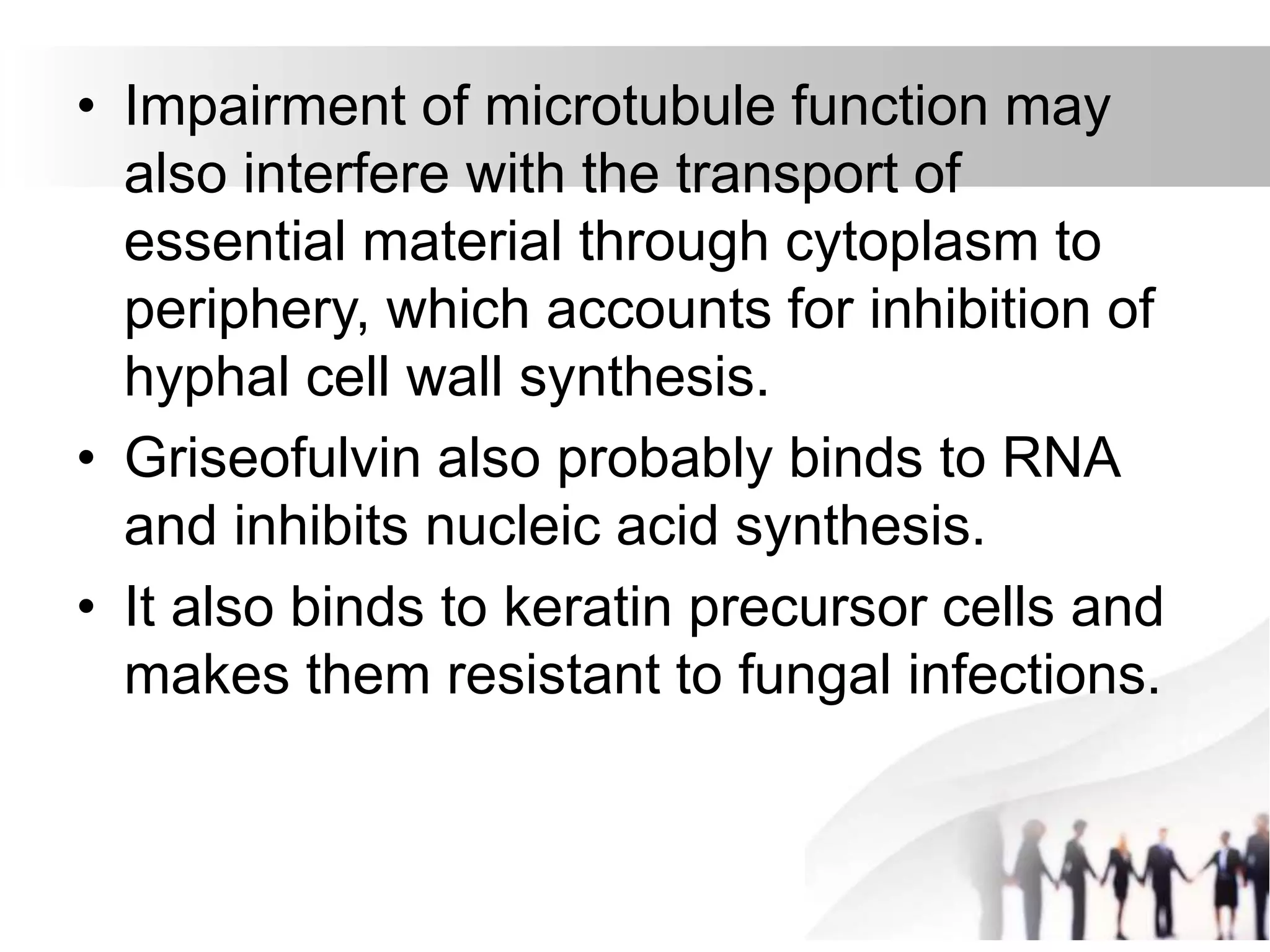• Impairment of microtubule function may
also interfere with the transport of
essential material through cytoplasm to
periphery, which accounts for inhibition of
hyphal cell wall synthesis.
• Griseofulvin also probably binds to RNA
and inhibits nucleic acid synthesis.
• It also binds to keratin precursor cells and
makes them resistant to fungal infections.
 