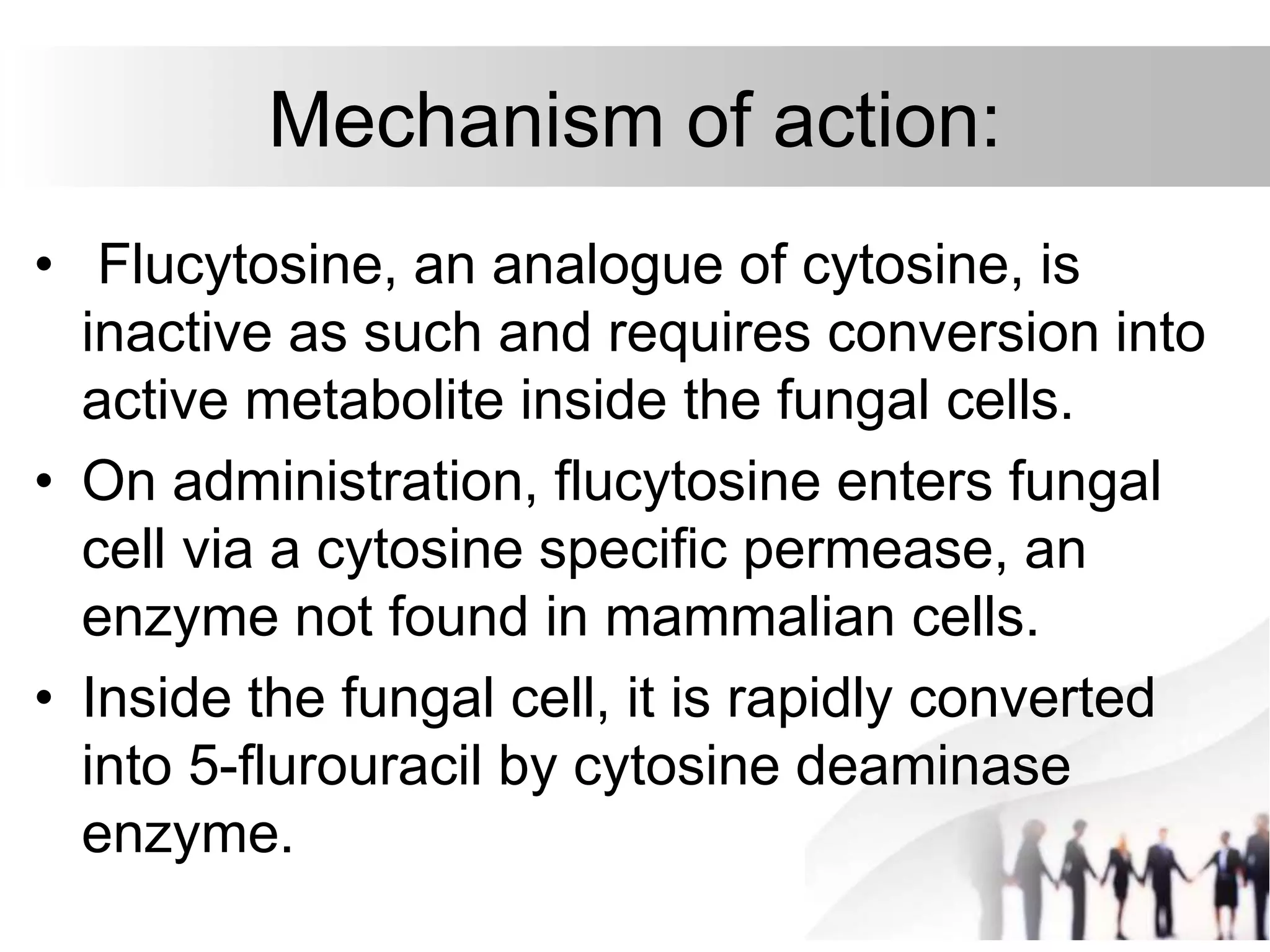 Mechanism of action:
• Flucytosine, an analogue of cytosine, is
inactive as such and requires conversion into
active metabolite inside the fungal cells.
• On administration, flucytosine enters fungal
cell via a cytosine specific permease, an
enzyme not found in mammalian cells.
• Inside the fungal cell, it is rapidly converted
into 5-flurouracil by cytosine deaminase
enzyme.
 