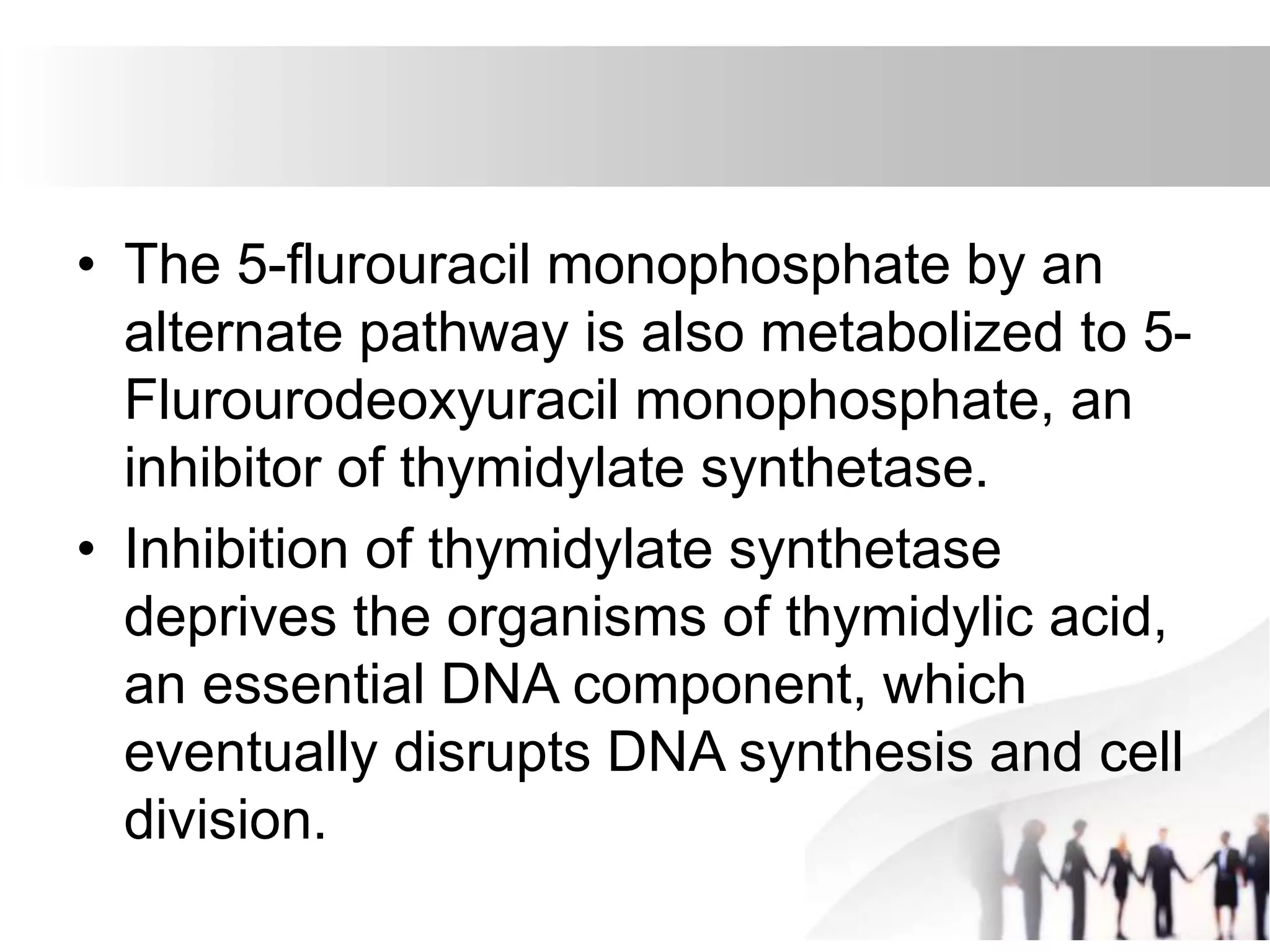 • The 5-flurouracil monophosphate by an
alternate pathway is also metabolized to 5-
Flurourodeoxyuracil monophosphate, an
inhibitor of thymidylate synthetase.
• Inhibition of thymidylate synthetase
deprives the organisms of thymidylic acid,
an essential DNA component, which
eventually disrupts DNA synthesis and cell
division.
 
