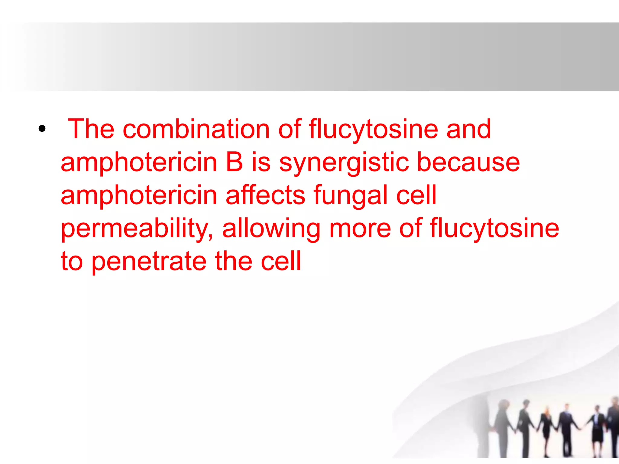 • The combination of flucytosine and
amphotericin B is synergistic because
amphotericin affects fungal cell
permeability, allowing more of flucytosine
to penetrate the cell
 