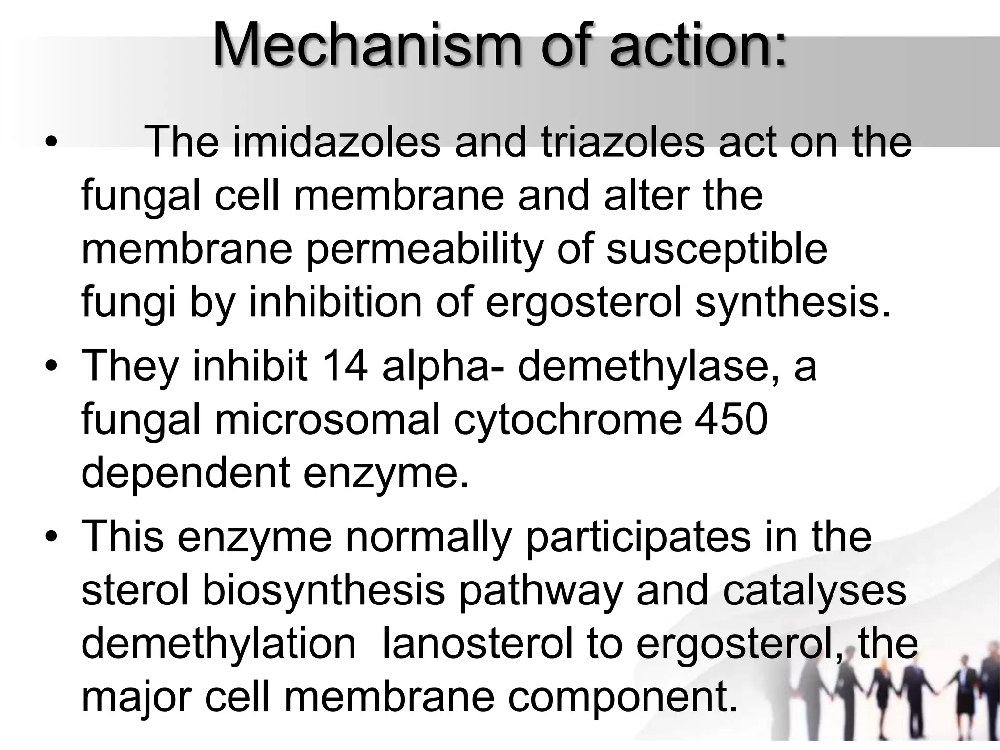Mechanism of action:
• The imidazoles and triazoles act on the
fungal cell membrane and alter the
membrane permeability of susceptible
fungi by inhibition of ergosterol synthesis.
• They inhibit 14 alpha- demethylase, a
fungal microsomal cytochrome 450
dependent enzyme.
• This enzyme normally participates in the
sterol biosynthesis pathway and catalyses
demethylation lanosterol to ergosterol, the
major cell membrane component.
 