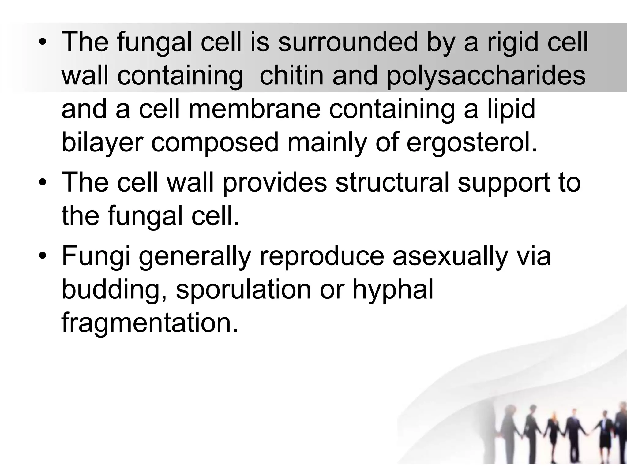 • The fungal cell is surrounded by a rigid cell
wall containing chitin and polysaccharides
and a cell membrane containing a lipid
bilayer composed mainly of ergosterol.
• The cell wall provides structural support to
the fungal cell.
• Fungi generally reproduce asexually via
budding, sporulation or hyphal
fragmentation.
 