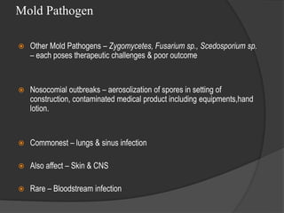 Mold Pathogen
 Other Mold Pathogens – Zygomycetes, Fusarium sp., Scedosporium sp.
– each poses therapeutic challenges & poor outcome
 Nosocomial outbreaks – aerosolization of spores in setting of
construction, contaminated medical product including equipments,hand
lotion.
 Commonest – lungs & sinus infection
 Also affect – Skin & CNS
 Rare – Bloodstream infection
 