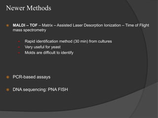 Newer Methods
 MALDI – TOF – Matrix – Assisted Laser Desorption Ionization – Time of Flight
mass spectrometry
 Rapid identification method (30 min) from cultures
 Very useful for yeast
 Molds are difficult to identify
 PCR-based assays
 DNA sequencing: PNA FISH
 