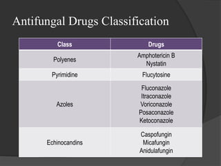 Antifungal Drugs Classification
Class Drugs
Polyenes
Amphotericin B
Nystatin
Pyrimidine Flucytosine
Azoles
Fluconazole
Itraconazole
Voriconazole
Posaconazole
Ketoconazole
Echinocandins
Caspofungin
Micafungin
Anidulafungin
 