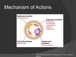 The Pharmacological Basis of Therapeutics , 12TH ED, Goodman &
Gillman’s
Mechanism of Actions
 