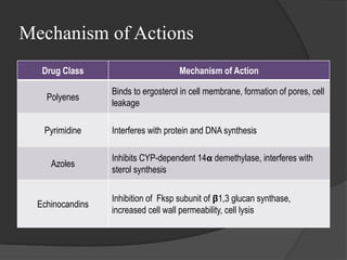Mechanism of Actions
Drug Class Mechanism of Action
Polyenes
Binds to ergosterol in cell membrane, formation of pores, cell
leakage
Pyrimidine Interferes with protein and DNA synthesis
Azoles
Inhibits CYP-dependent 14𝝰 demethylase, interferes with
sterol synthesis
Echinocandins
Inhibition of Fksp subunit of 𝝱1,3 glucan synthase,
increased cell wall permeability, cell lysis
 