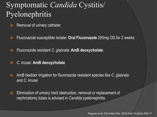 Symptomatic Candida Cystitis/
Pyelonephritis
 Removal of urinary catheter
 Fluconazole susceptible isolate: Oral Fluconazole 200mg OD for 2 weeks
 Fluconazole resistant C. glabrata: AmB deoxycholate
 C. krusei: AmB deoxycholate
 AmB bladder irrigation for fluconazole resistant species like C. glabrata
and C. krusei
 Elimination of urinary tract obstruction, removal or replacement of
nephrostomy tubes is advised in Candida pyelonephritis
Pappas et al, Clin Infect Dis. 2016 Feb 15;62(4):409-17
 